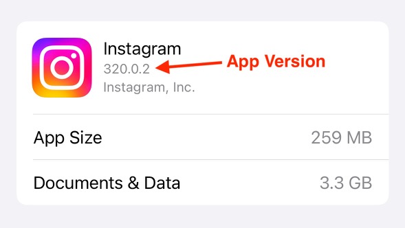 Instagram app information on the iPhone/iPad Storage settings screen, showing the app version number.